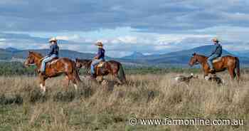 Quality country with outstanding views to the Great Dividing Range | Video