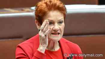 Nine issues warning to Karl Stefanovic after his controversial podcast interview with far-right British activist as Pauline Hanson accuses network of trying to sack her 'good friend'