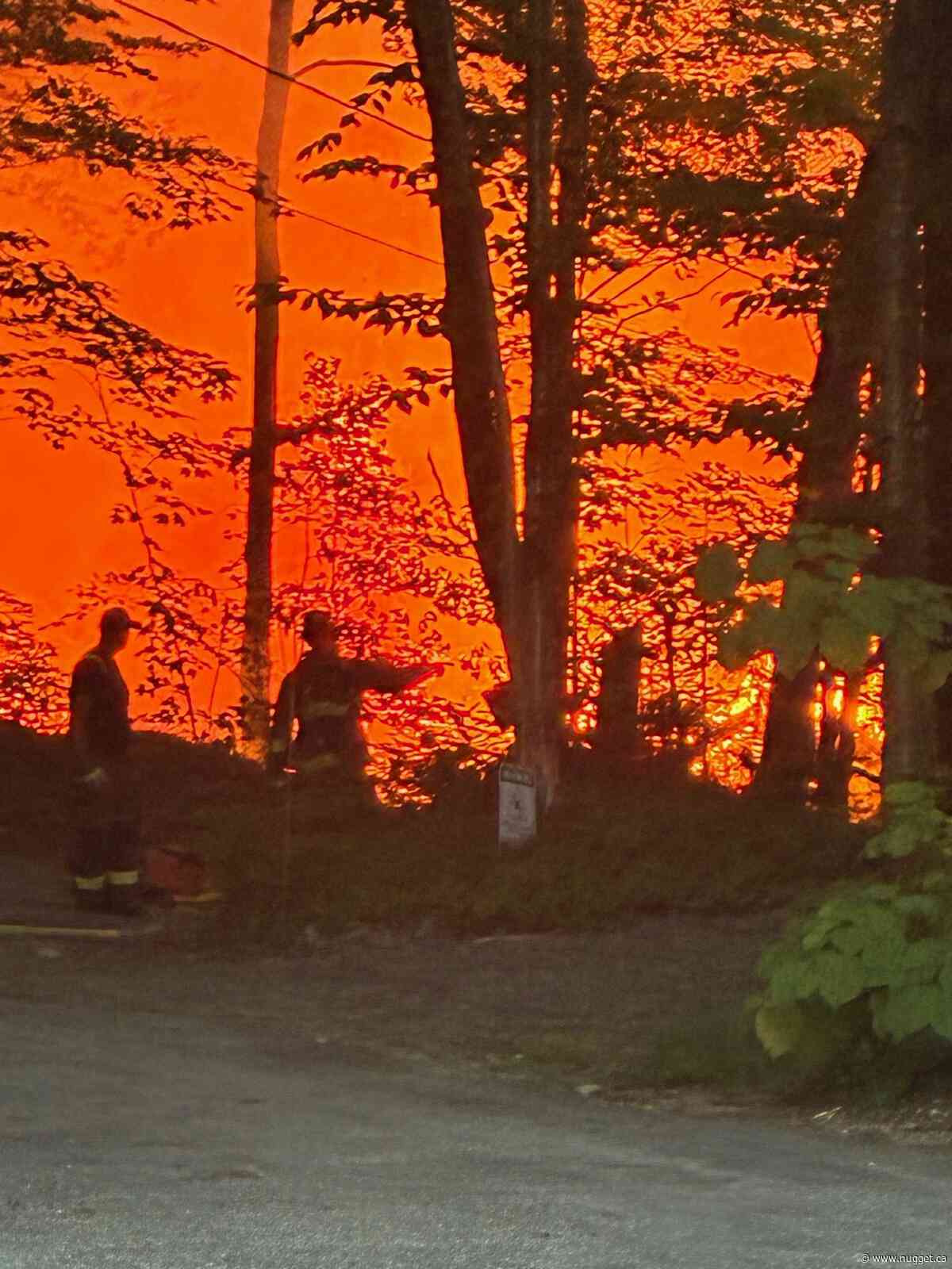 Trout Lake cottage up in flames