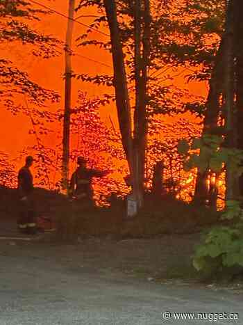 Trout Lake cottage up in flames