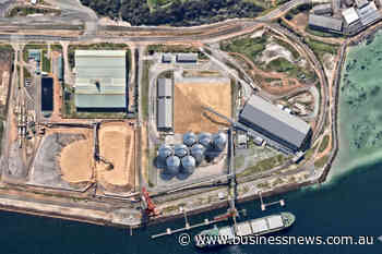 Albany wharf upgrade gives Qube exposure to WA grains industry