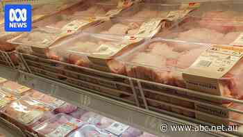 Bird flu prompts Papua New Guinea to ban Australian chicken and egg imports