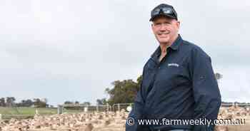 'Very profitable': Where sheep sit relative to cropping in the current market