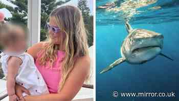 Woman's first words as she wakes from coma after horror shark attack