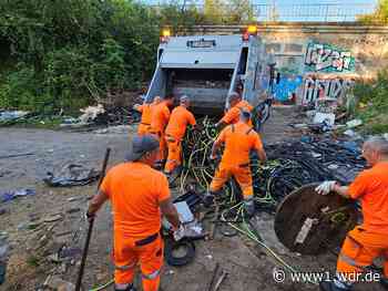 Drastischer Anstieg von illegalem Müll in NRW