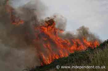 UK heatwave: Expert warns of ‘extreme wildfire scenario’ with temperatures set to reach 39C