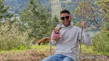 Vancouver man calls for action after coyote snatches and kills chihuahua near Trout Lake
