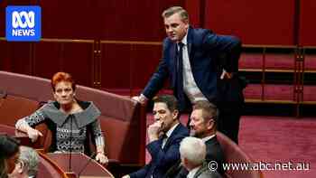 Live: Pauline Hanson says Socceroos represents her vision of monoculture