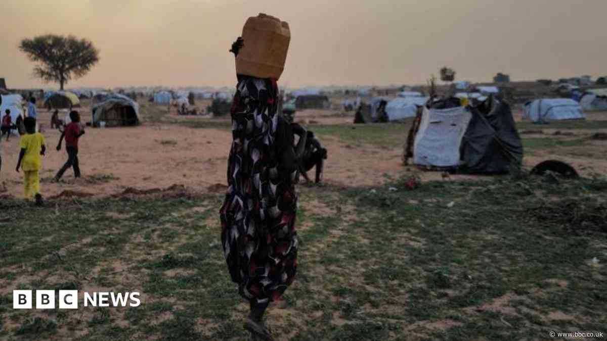 Sexual violence increasingly used as 'weapon of war' in Sudan, UN says