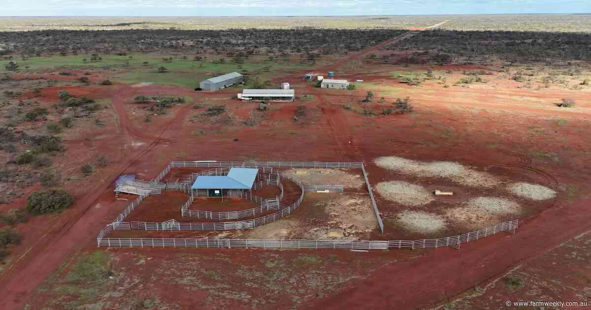 Gascoyne stations' sale indicative of strong local demand for pastoral land