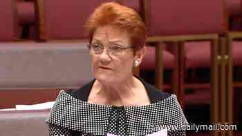 Pauline Hanson goes into detail about what a 'monoculture' would look like in Australia in big speech