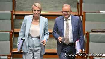 Senior Albo minister floats a big change to parental leave after Pauline Hanson urgently clarified her views about women not being paid