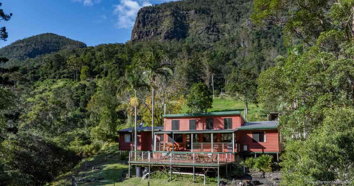 Pristine Scenic Rim country complete with Gondwana Rainforest | Video
