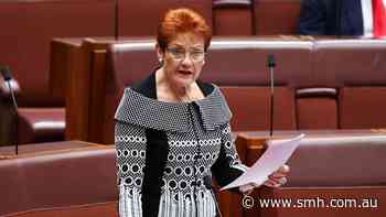 One Nation leader says Socceroos represent her idea of 'monocultural' Australia