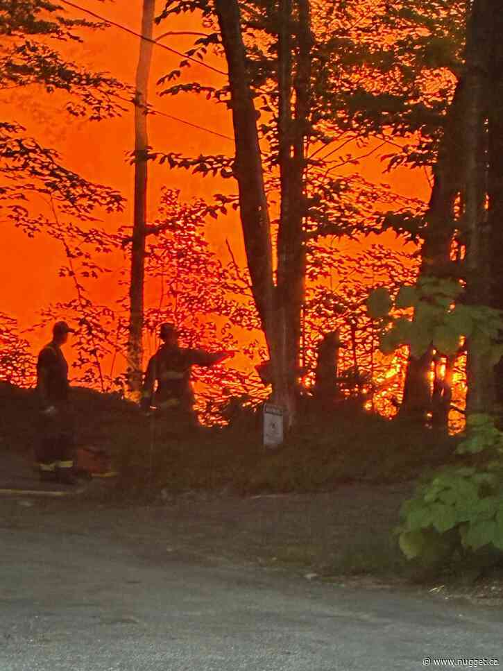 Trout Lake cottage and bunkhouse up in flames