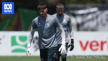Socceroos should make 'harsh' call for final group game, Schwarzer says