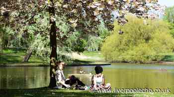 23 parks perfect for a sunny picnic or summer walk in Liverpool and around Merseyside