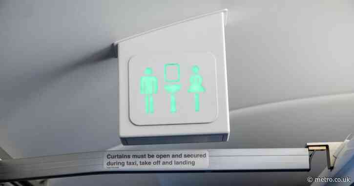 There’s a secret cupboard in airplane toilets that anyone can open — here’s what’s inside