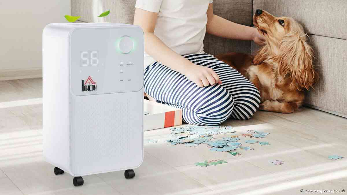 Portable dehumidifier 'keeps homes fresh' in heatwave cheaper than Prime Day deal