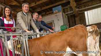 BayWa in Not: Lassen Söder und Aiwanger die Bauern hängen?