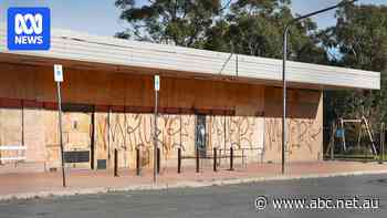 Canberra's local shops are distinctive. But some thrive while others fail