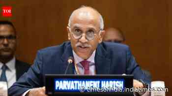 India tears into Pakistan over 'unwarranted remarks' at UN: 'J&amp;K was, is &amp; will remain internal matter'