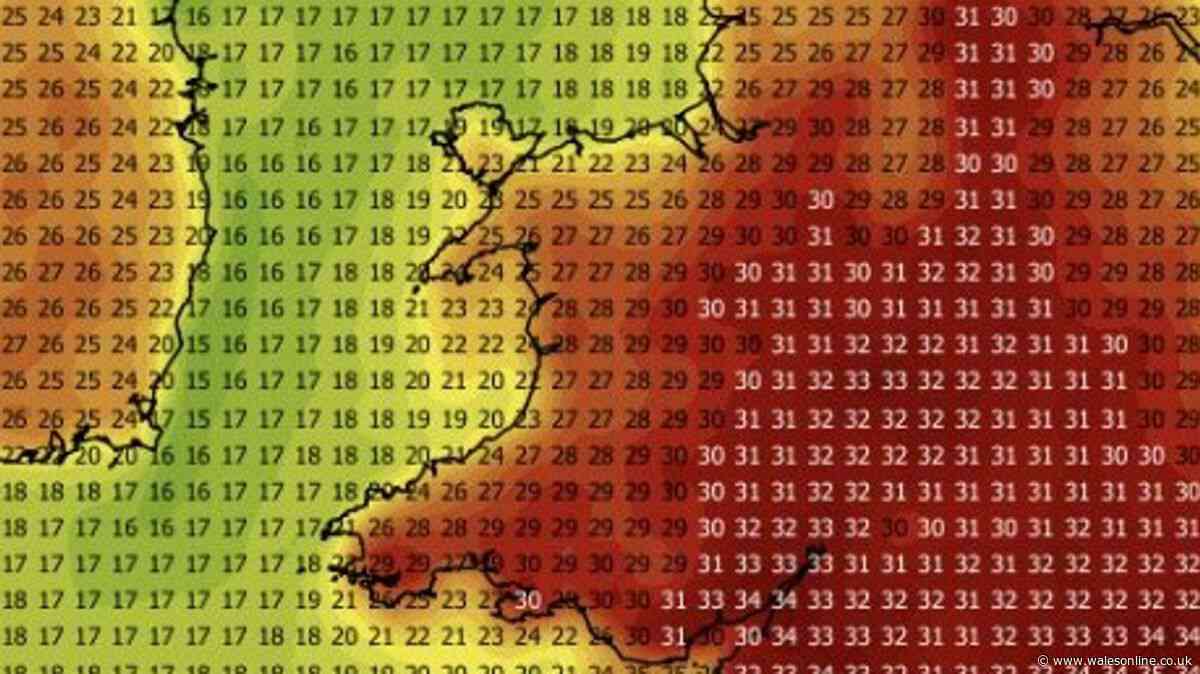 Heatwave live updates as Met Office red warning begins in Wales causing major disruption