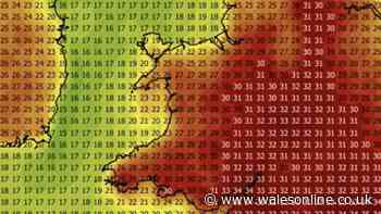 Heatwave live updates as Met Office red warning begins in Wales causing major disruption