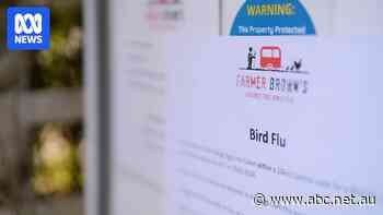 Breaking: Deadly bird flu discovered in second Australian state as virus found in SA