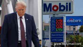 Trump orders probe into oil companies 'not dropping their price' and says 'customers are being gouged' at the pump