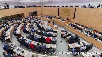Baden-Württemberg: So viel mehr Gehalt bekommen Politiker im Landtag künftig