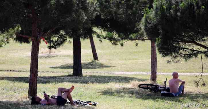 UK heatwave latest: Do not travel warnings issued before extreme heat alert begins
