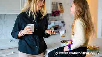 Your rights if you have to miss work because child's school closes
