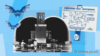 From bat tunnels to tearing up the Chilterns, HS2 is a very British farce - Christian Wolmar