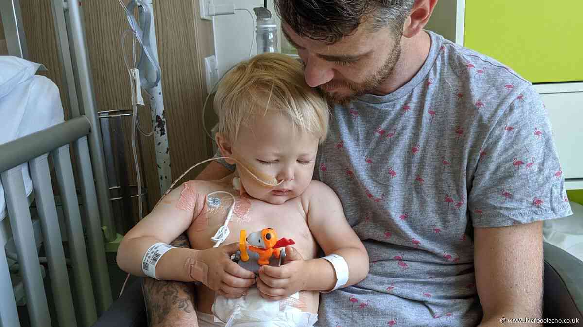 Liverpool toddler almost died after catching illness in Egypt