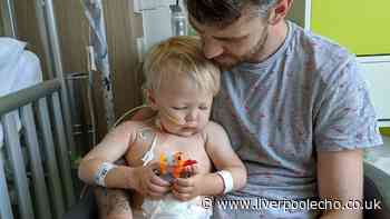 Liverpool toddler almost died after catching illness in Egypt