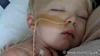 Toddler left fighting for life after falling ill on holiday in Egypt