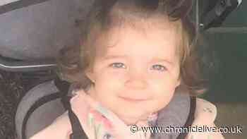 North East mother accused of murdering daughter had concerns boyfriend was 'sex offender'