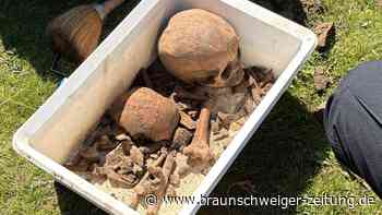 Horrorfund in Dibbesdorf – ein Zeitzeuge will das Knochen-Rätsel gelöst haben