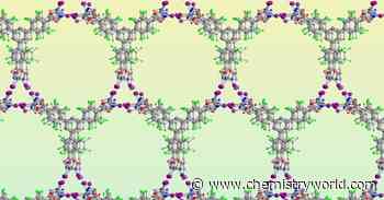 Halogen bonding makes its debut in a permanently porous framework