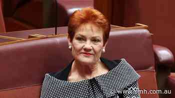Pauline Hanson says Socceroos represent her vision of ‘monoculture’