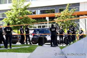 Policing safer now than in previous decades despite recent officer deaths: expert