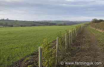 Nearly 500 NI farm businesses receive £2.7m nature scheme payments