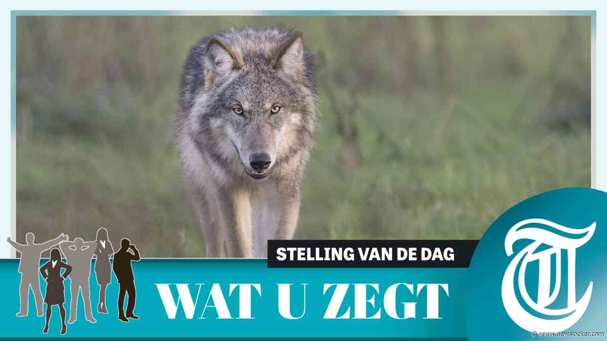 Stelling:  probleemwolf eerder afschieten