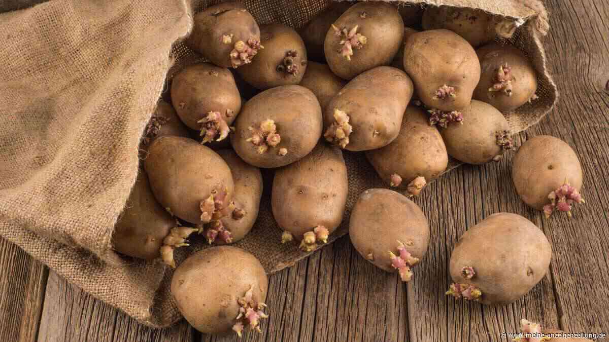 Keimende Kartoffeln vermeiden: Der Apfel-Trick, drei effektive Strategien