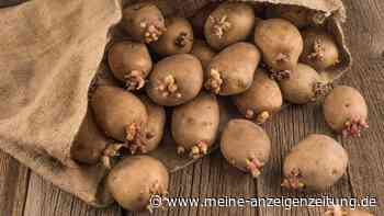 Keimende Kartoffeln vermeiden: Der Apfel-Trick, drei effektive Strategien