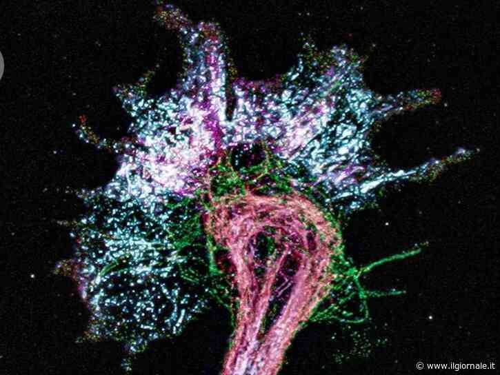 La materia si gonfia, il microscopio vede: così il MIT ingrandisce l’invisibile