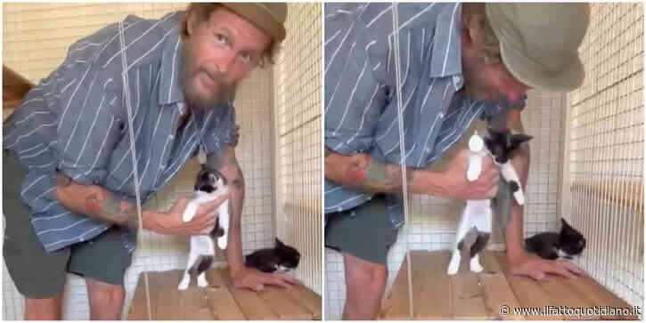 “Questi gattini mitici sono stati abbandonati in strada. Se c’è qualche anima gentile che ha voglia di occuparsene. Non abbandonate gli animali”: l’appello di Jovanotti – IL VIDEO