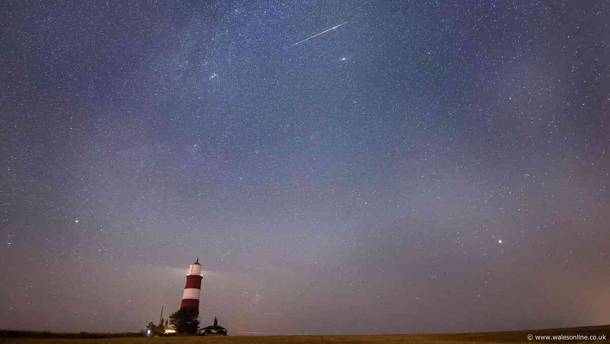 Bootids meteor shower reaches its peak this week - how to photograph it on a phone