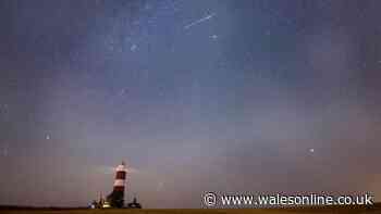 Bootids meteor shower reaches its peak this week - how to photograph it on a phone